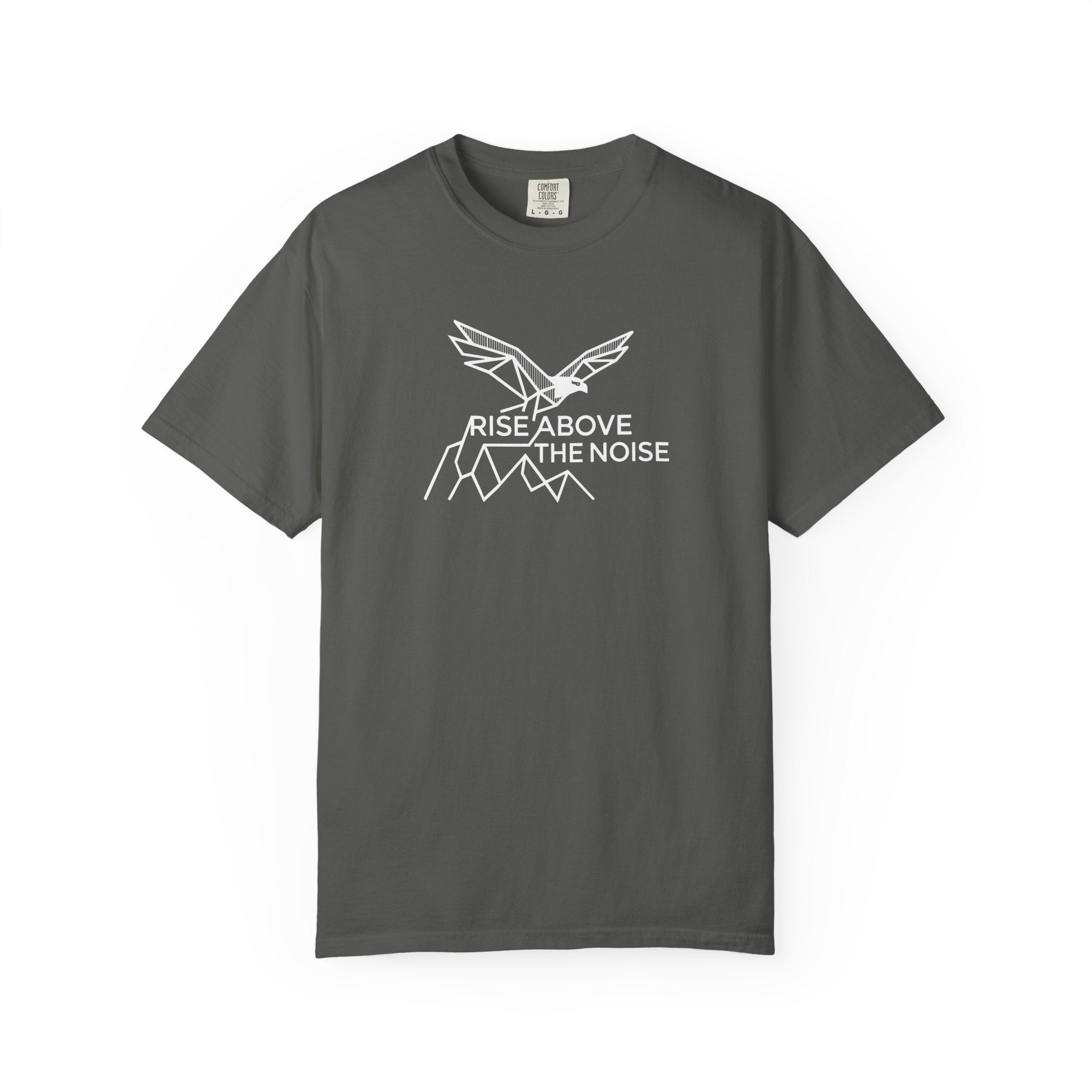 Eagle soaring over cliffs Dark