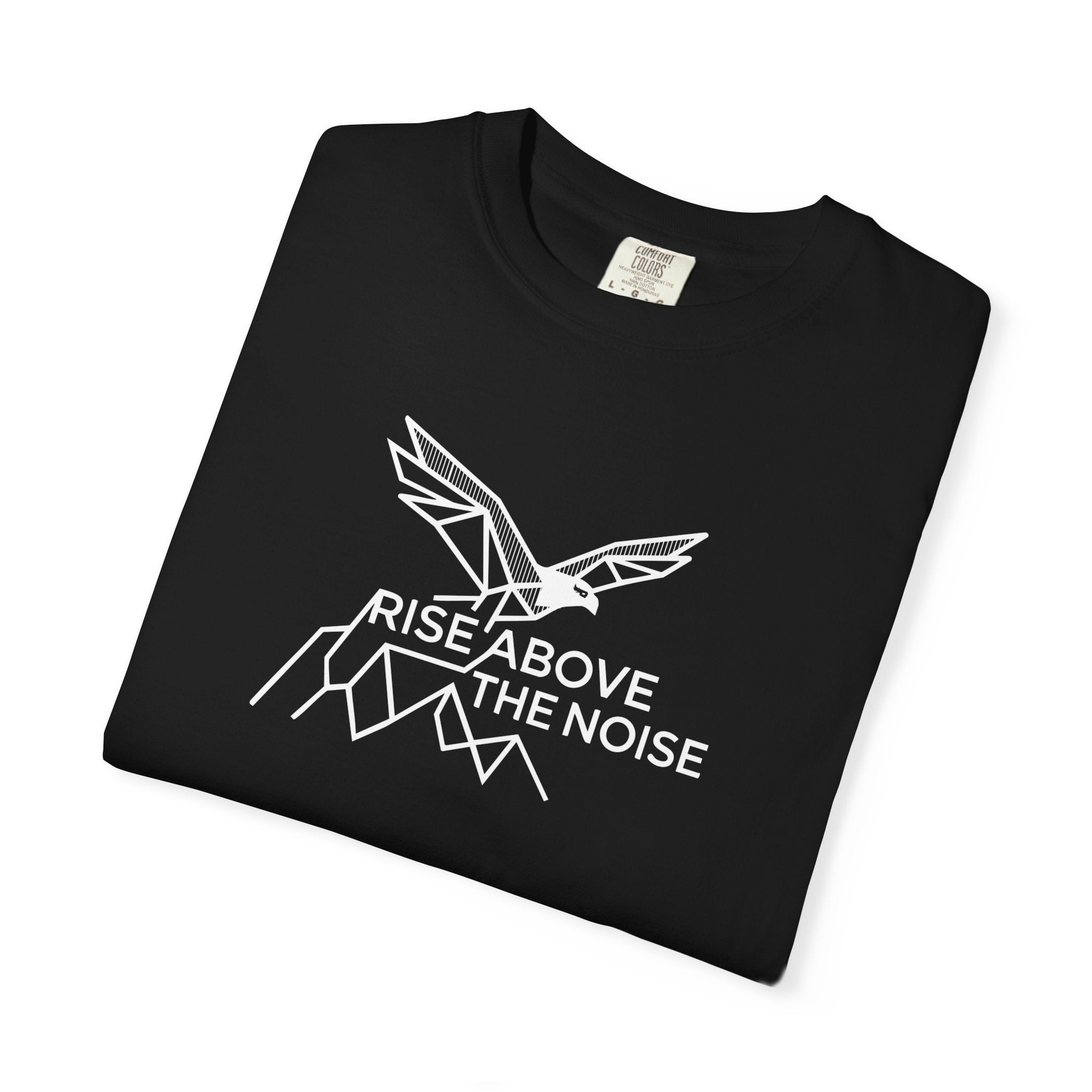Eagle soaring over cliffs Dark