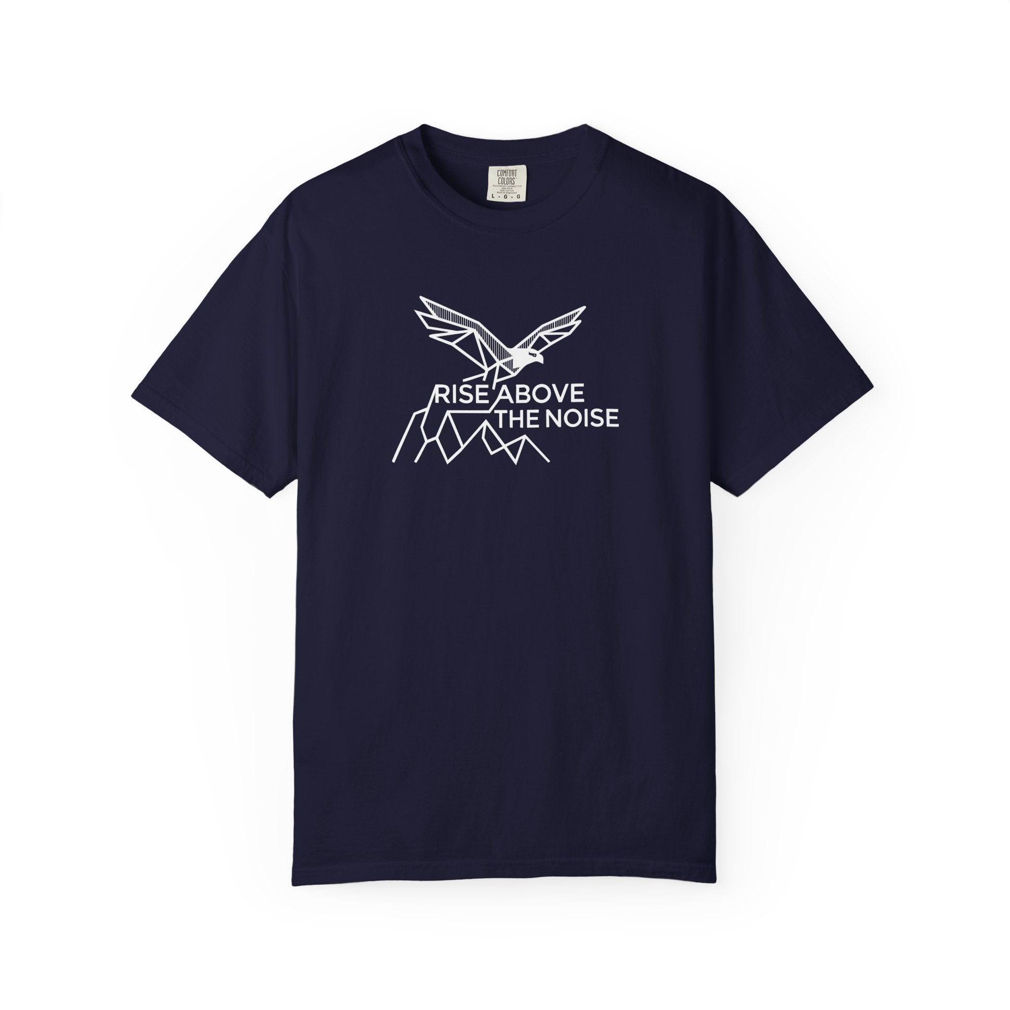 Eagle soaring over cliffs Dark