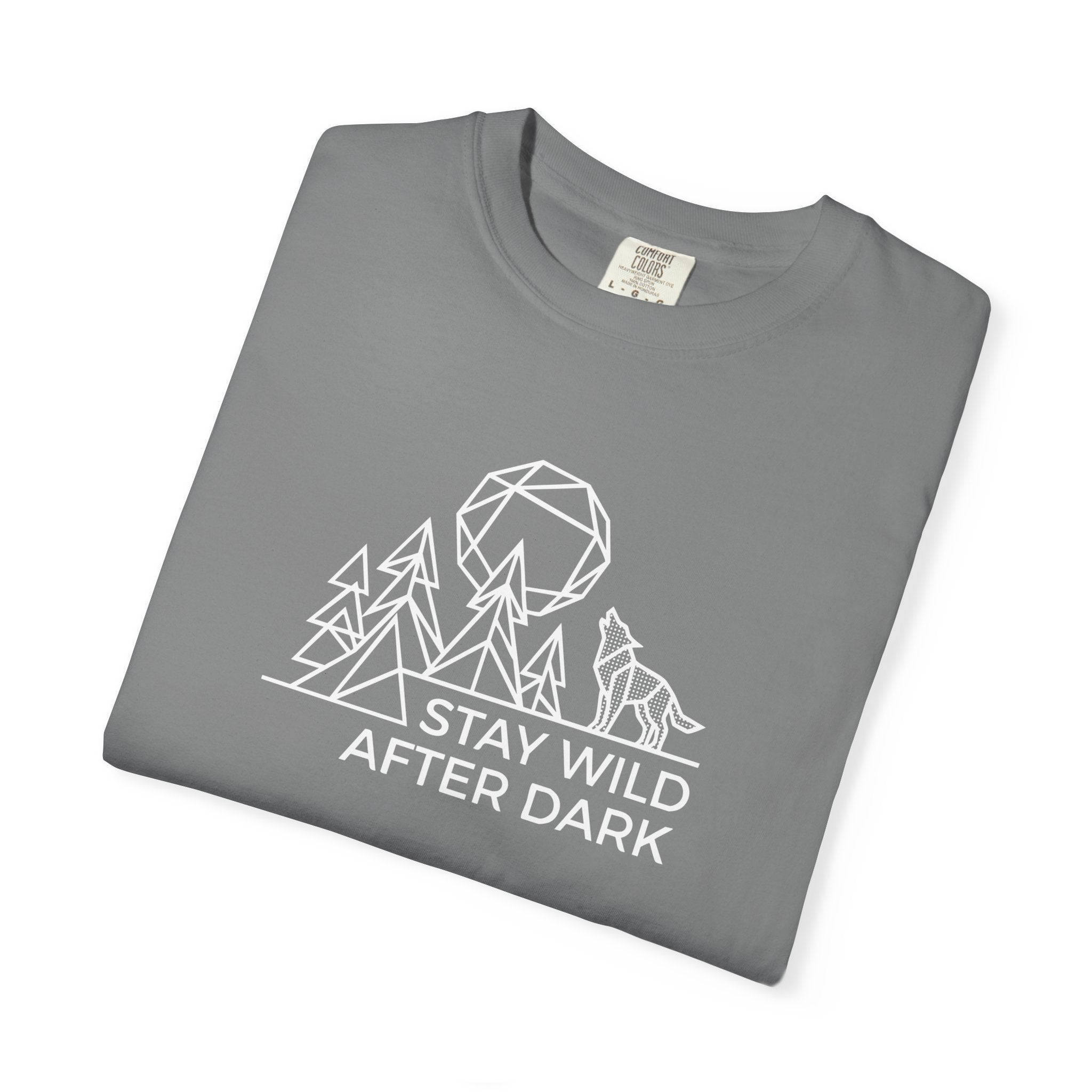 Moon over pine trees Dark
