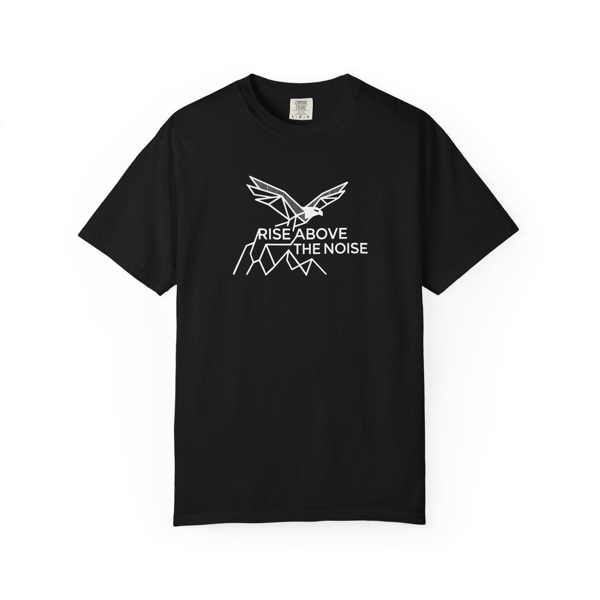 Eagle soaring over cliffs Dark