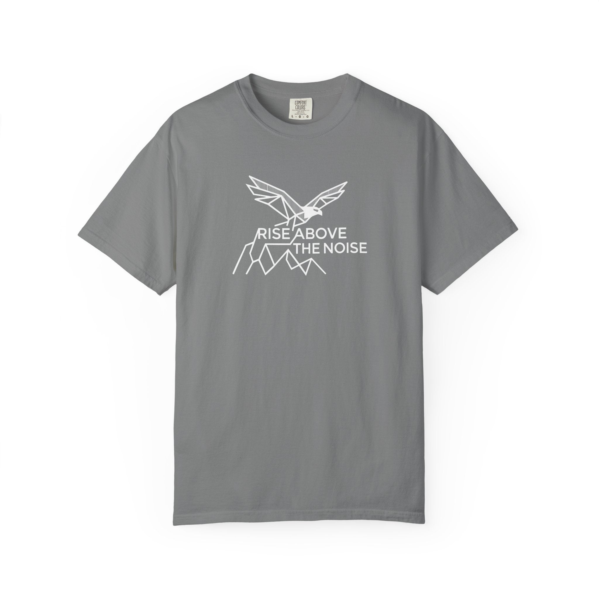 Eagle soaring over cliffs Dark